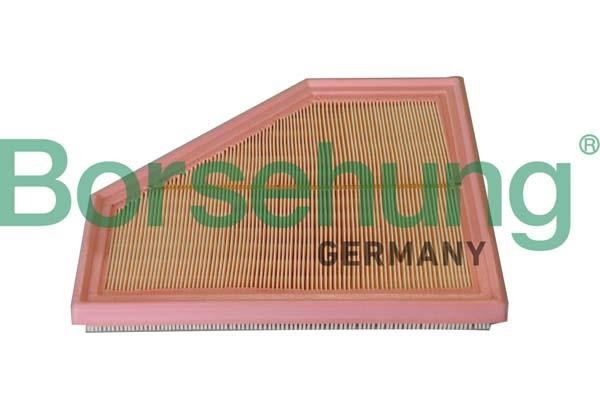 B12291 Borsehung Cabin filter