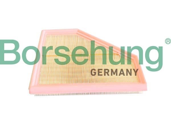 B12292 Borsehung Cabin filter