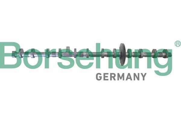 B12296 Borsehung Camshaft adjuster