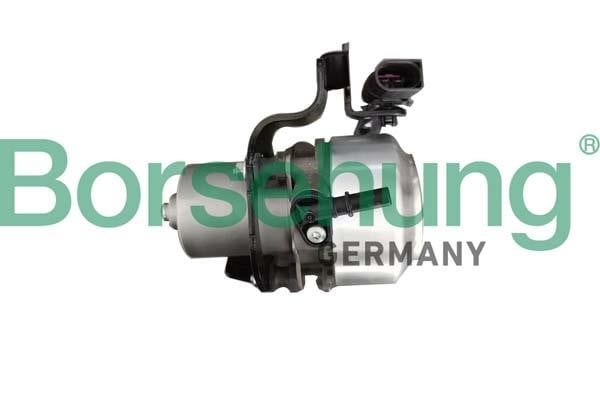 B12301 Borsehung Vacuum Pump, braking system