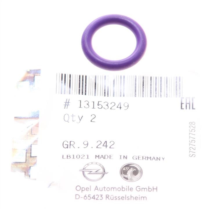 General Motors 13153249 Ring sealing 13153249