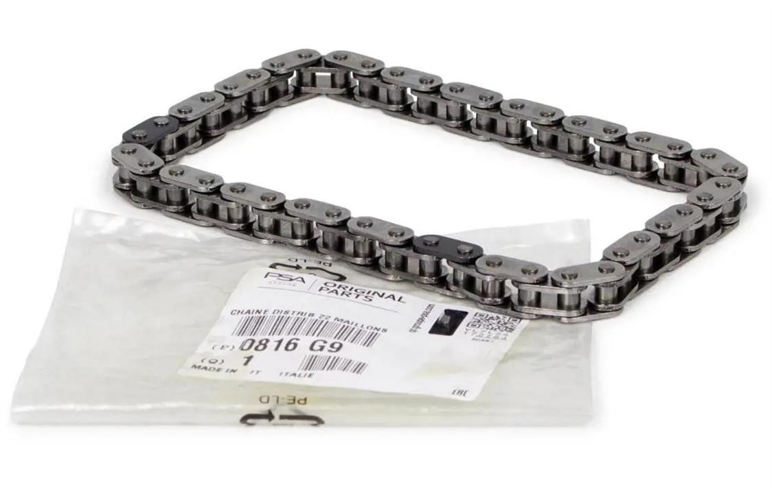 Timing chain Citroen/Peugeot 0816 G9