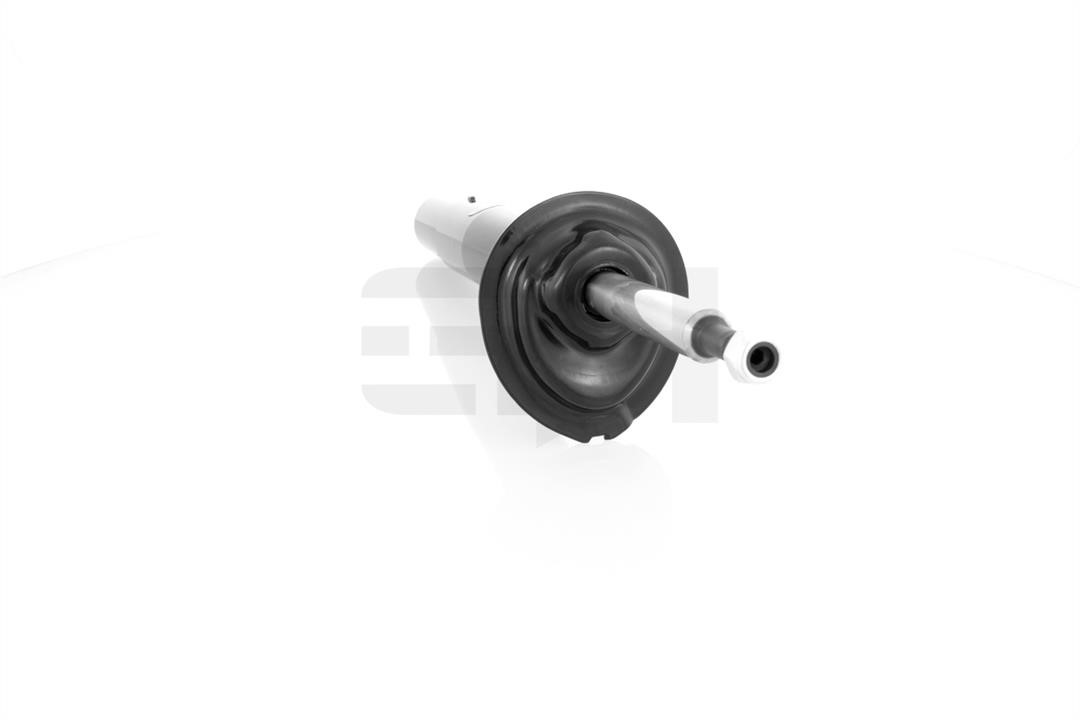 Front suspension shock absorber GH GH+351560