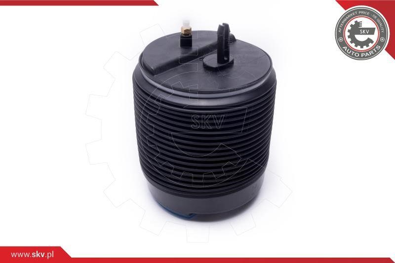 Buy Esen SKV 58SKV073 at a low price in United Arab Emirates!