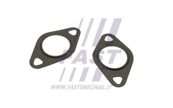 Fast FT50608 Seal, EGR valve FT50608