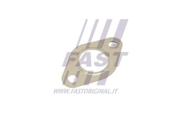Fast FT50615 Seal, EGR valve FT50615