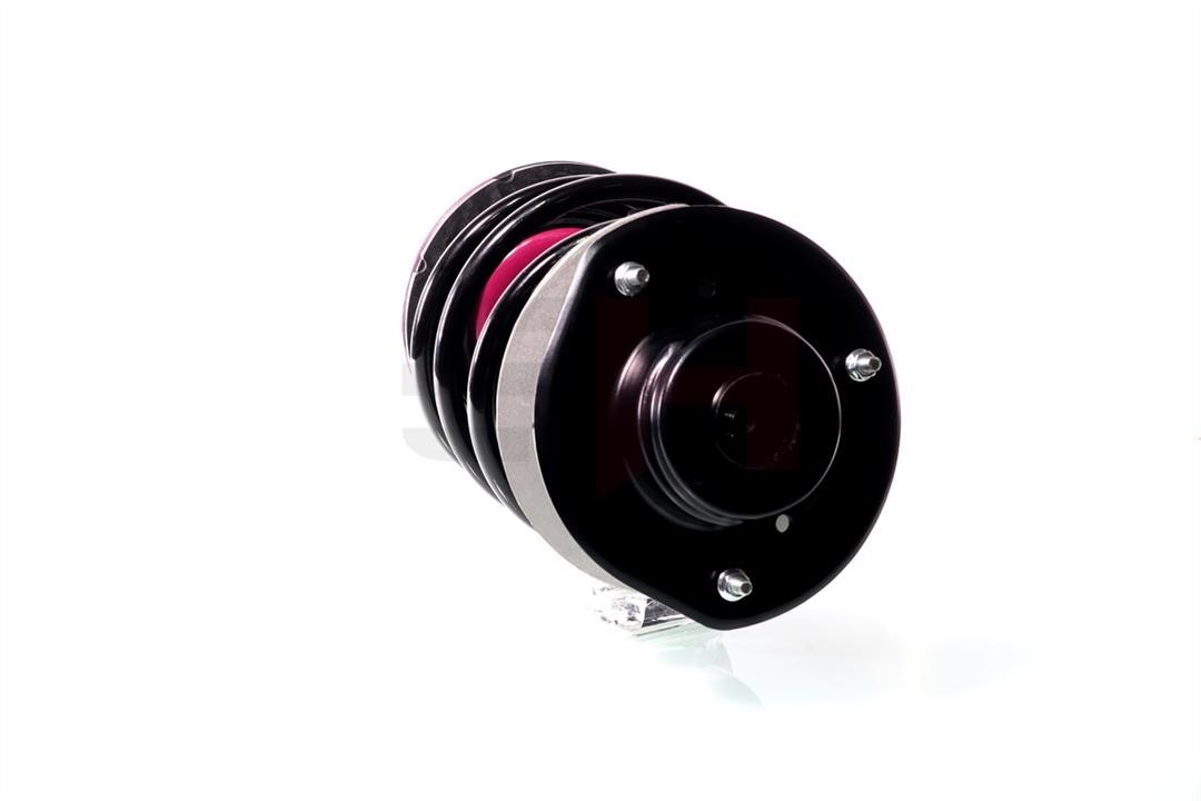 Suspension strut GH GH-359321C03