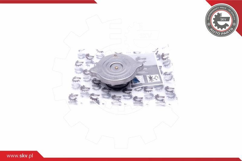 61SKV004 Esen SKV Cap, coolant tank