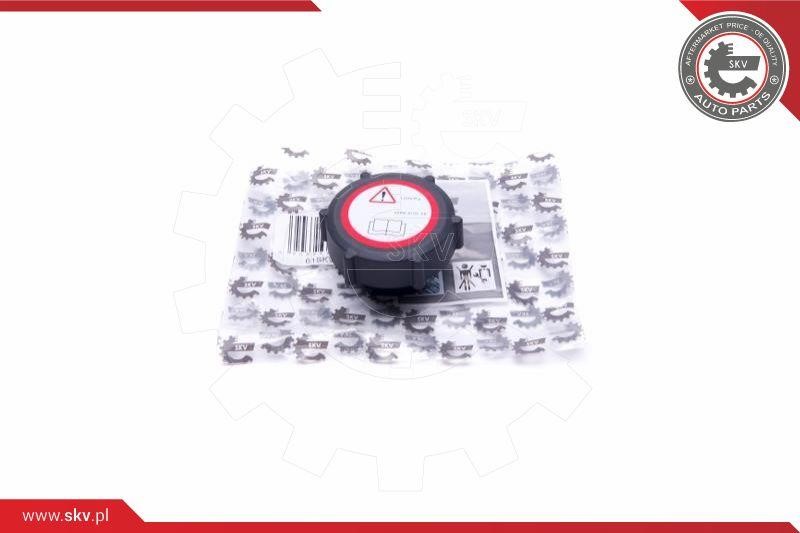 61SKV006 Esen SKV Cap, coolant tank