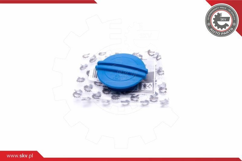 Coolant reservoir cap Audi: 61SKV010 Esen SKV Cap, coolant tank