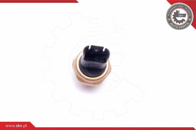 Sensor, fuel pressure Esen SKV 17SKV620