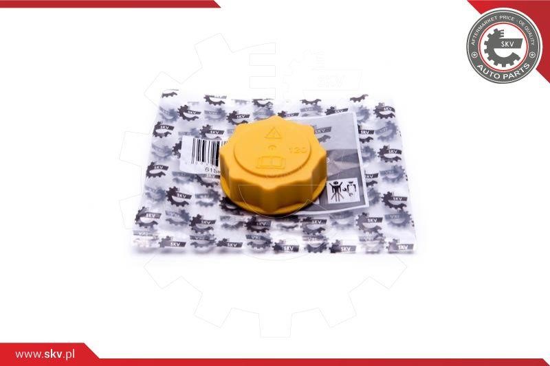 61SKV007 Esen SKV Cap, coolant tank