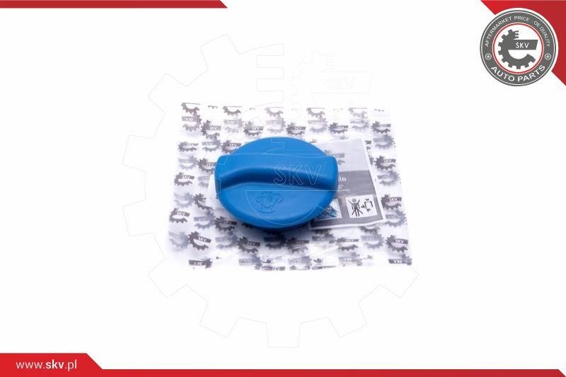 61SKV009 Esen SKV Cap, coolant tank