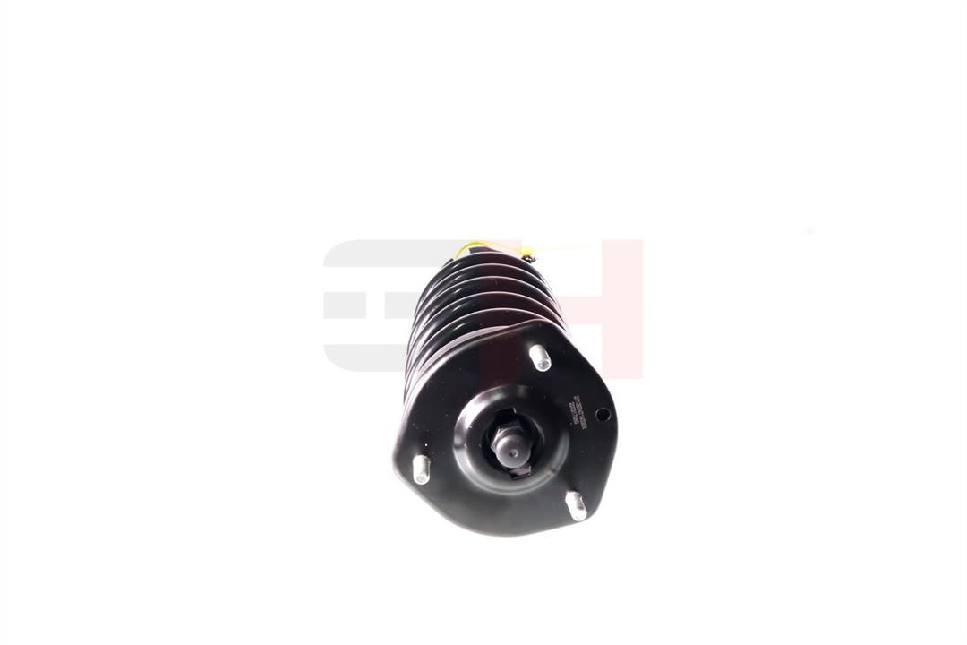 Suspension strut GH GH-333266C01
