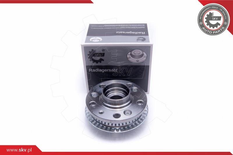 Esen SKV 29SKV439 Wheel bearing kit 29SKV439