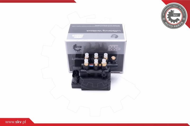 Esen SKV 93SKV811 Valve, compressed-air system 93SKV811 93SKV811 Esen SKV Valve, compressed-air system