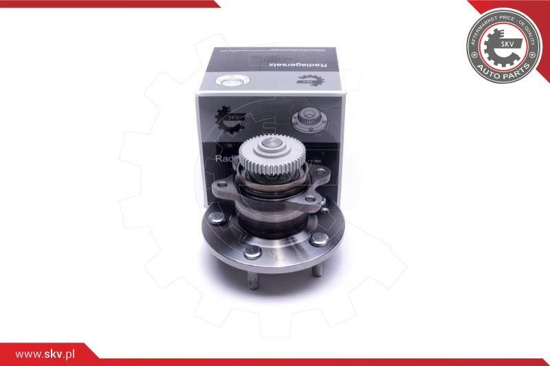 Esen SKV 29SKV483 Wheel bearing kit 29SKV483