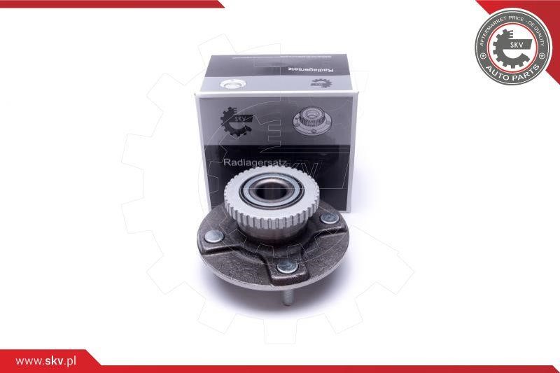 Esen SKV 29SKV520 Wheel bearing kit 29SKV520
