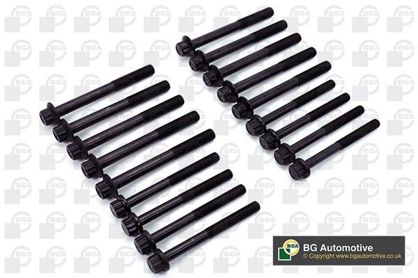 Wilmink Group WG1490111 Cylinder Head Bolts Kit WG1490111