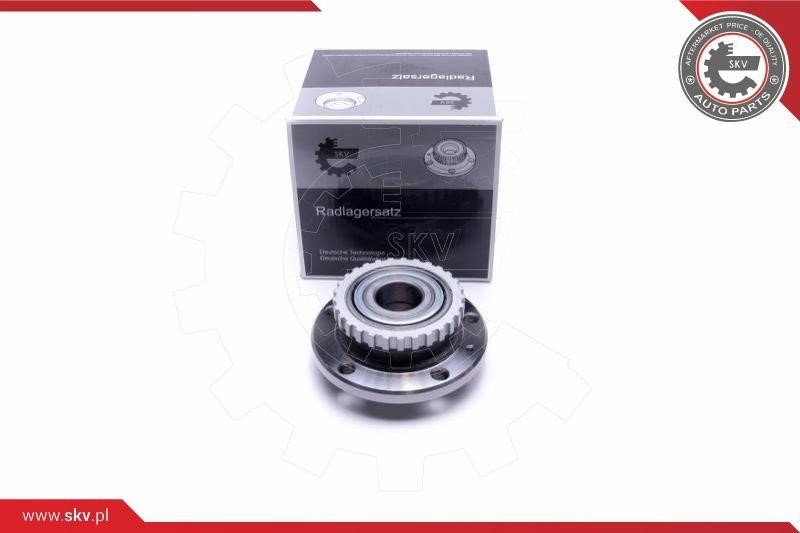 Esen SKV 29SKV336 Wheel bearing kit 29SKV336