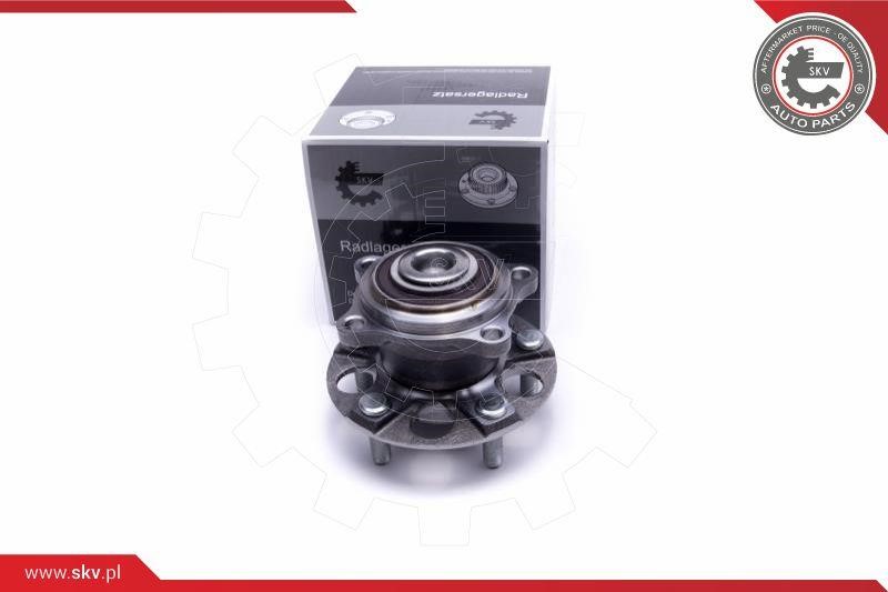 Esen SKV 29SKV417 Wheel bearing kit 29SKV417
