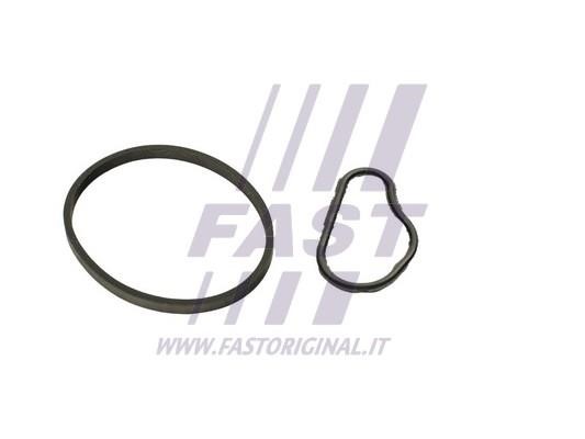 Fast FT48943 Gasket, vacuum pump FT48943 FT48943 Fast Gasket, vacuum pump