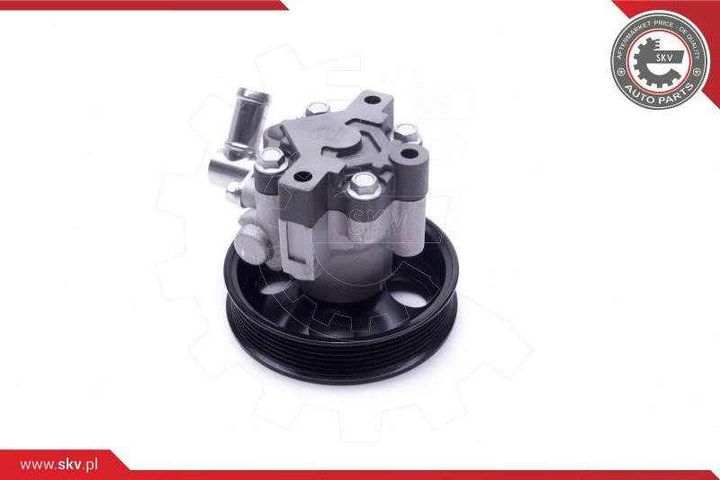 Hydraulic Pump, steering system Esen SKV 10SKV292