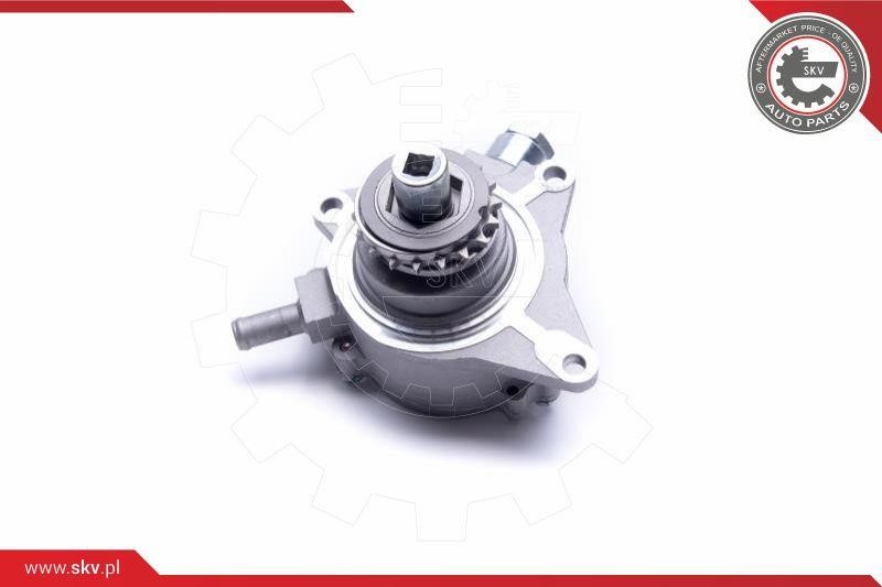 Vacuum Pump Esen SKV 18SKV040