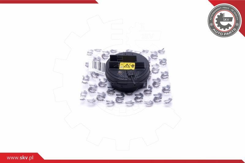 31SKV188 Esen SKV Rocker cover