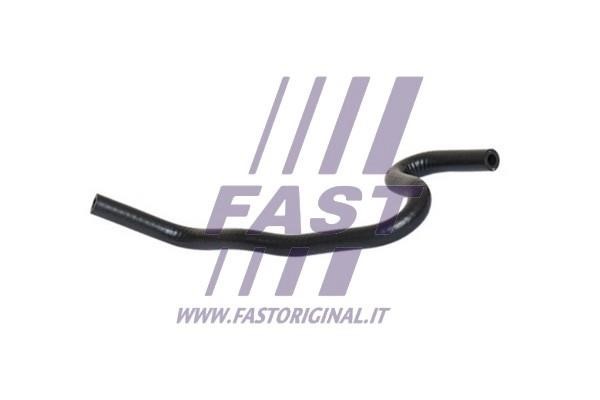 Fast FT61687 Radiator hose FT61687