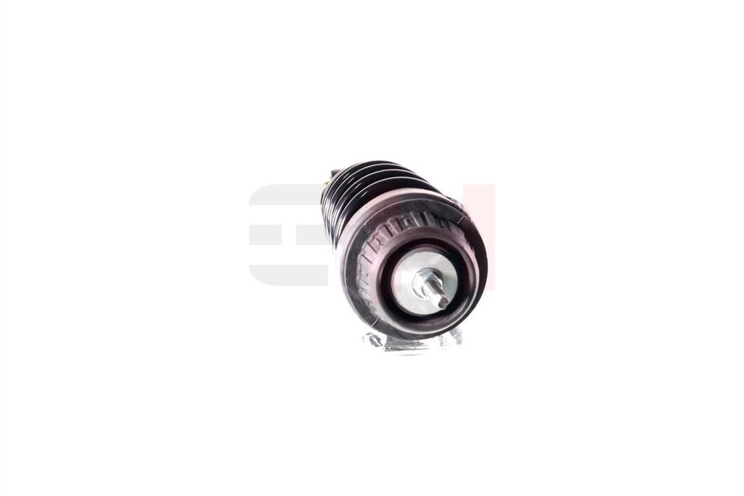 Suspension strut GH GH-331060C01