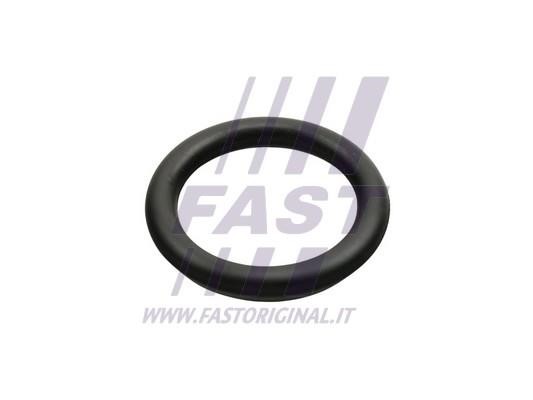 FT49426 Fast Intake manifold gasket