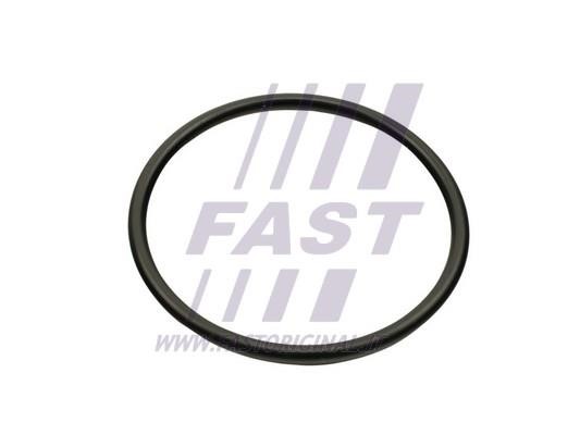 FT49460 Fast Intake manifold gasket