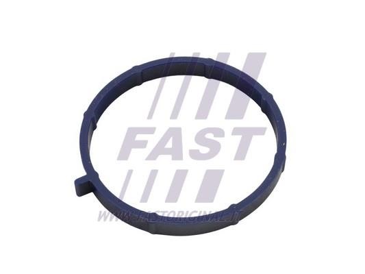 FT49467 Fast Intake manifold gasket