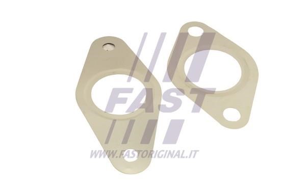 Fast FT50621 Gasket Set, EGR system FT50621 FT50621 Fast Gasket Set, EGR system