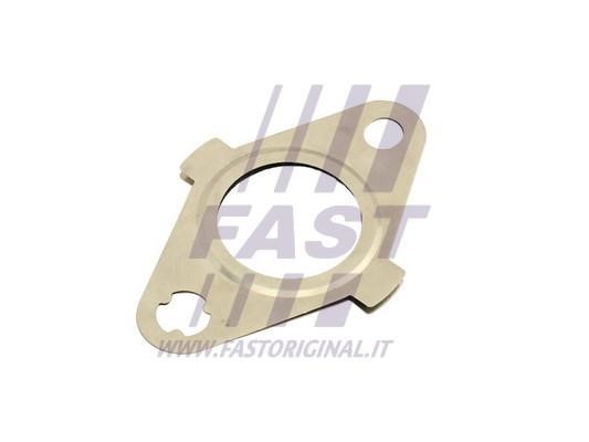 Fast FT50627 Seal, EGR valve FT50627