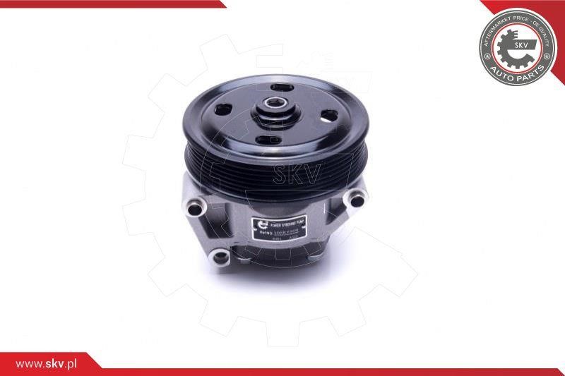Buy Esen SKV 10SKV309 – good price at EXIST.AE!