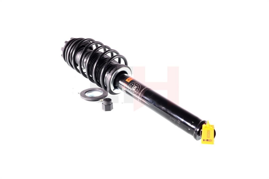 Suspension strut Smart: GH357501C01 GH Suspension strut