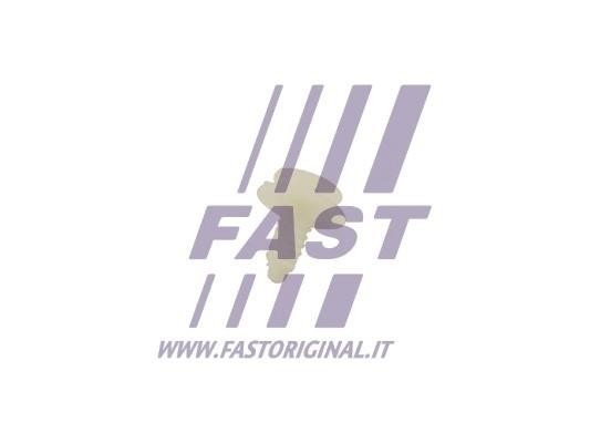 FT96311 Fast Clip, trim/protective strip