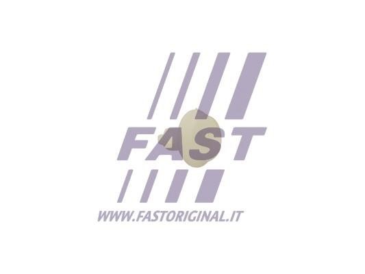 Buy Fast FT96311 at a low price in United Arab Emirates!