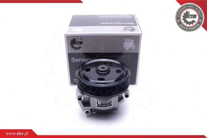 Esen SKV 10SKV309 Hydraulic Pump, steering system 10SKV309 10SKV309 Esen SKV Hydraulic Pump, steering system