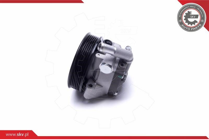 Hydraulic Pump, steering system Esen SKV 10SKV309