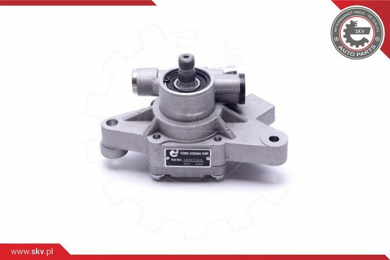Hydraulic Pump, steering system Esen SKV 10SKV313