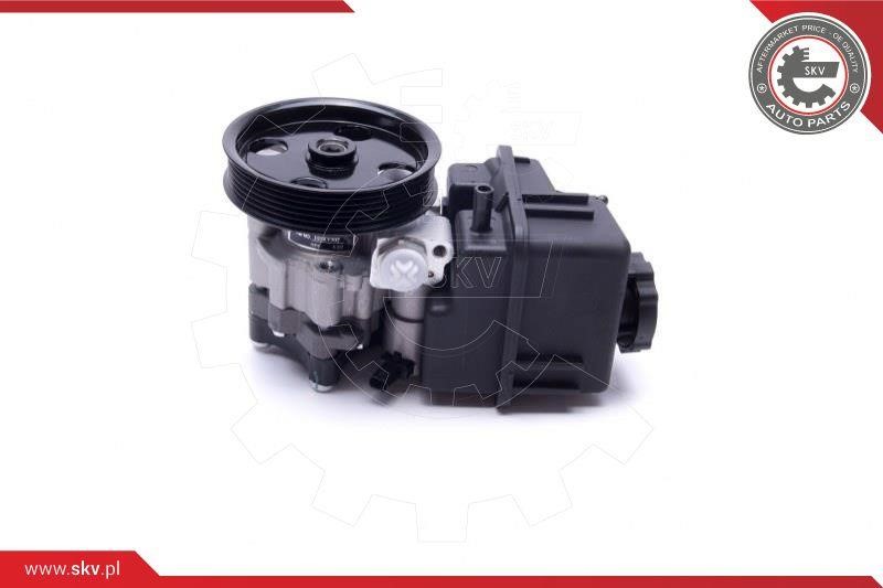 Hydraulic Pump, steering system Esen SKV 10SKV307