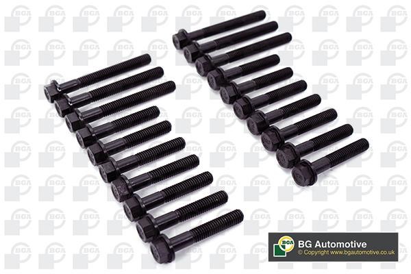 Wilmink Group WG1490183 Cylinder Head Bolts Kit WG1490183