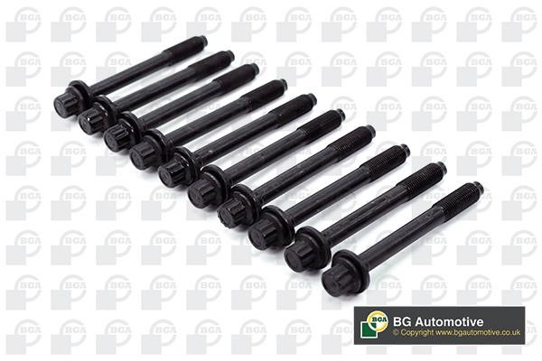 Wilmink Group WG1490102 Cylinder Head Bolts Kit WG1490102