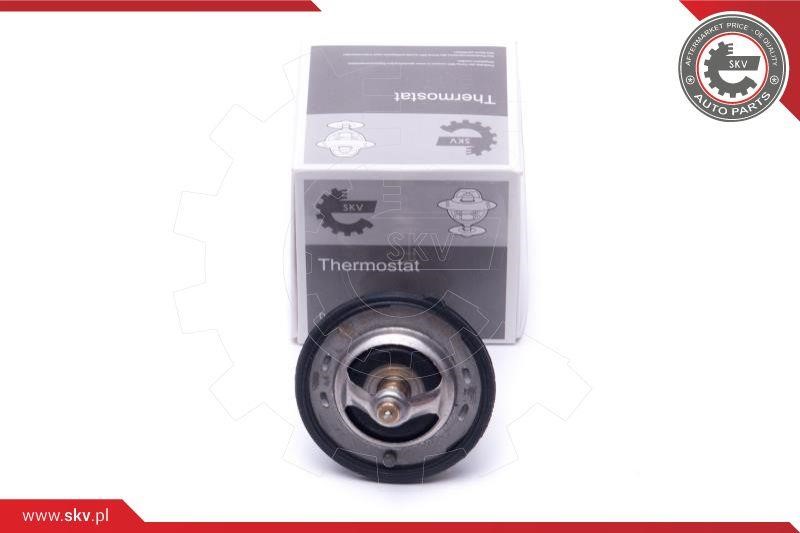 Esen SKV 20SKV131 Coolant thermostat 20SKV131 20SKV131 Esen SKV Coolant thermostat