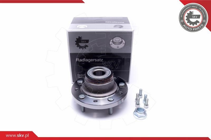Esen SKV 29SKV305 Wheel bearing kit 29SKV305