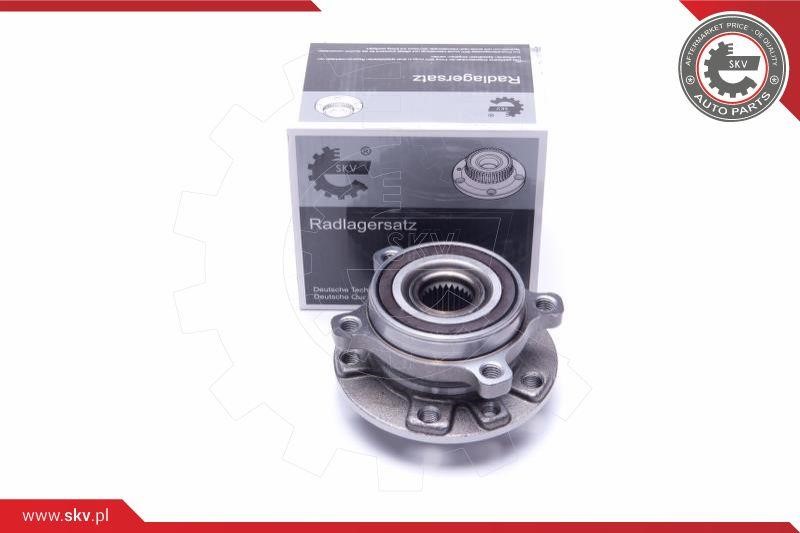 Esen SKV 29SKV309 Wheel bearing kit 29SKV309