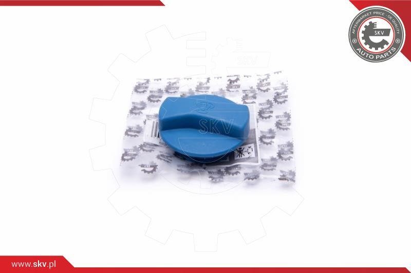 Coolant reservoir cap Audi: 61SKV011 Esen SKV Cap, coolant tank